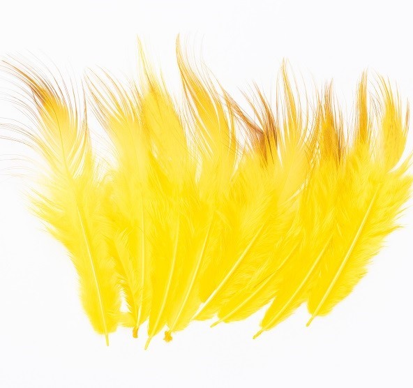 Veniard Ltd Golden Pheasant Body Feather Subs Yellow